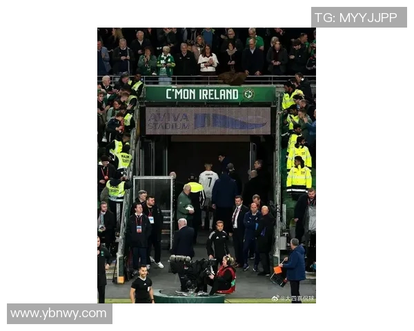 球迷疯狂冲入赛场抢夺C罗球衣引发热议的奇葩事件