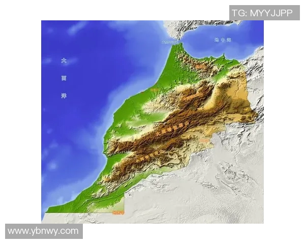 西班牙与摩洛哥交易盈亏分析及策略探讨