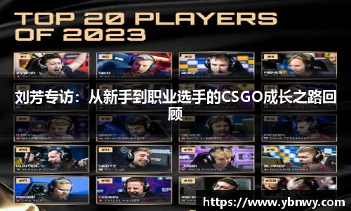 龙8平台