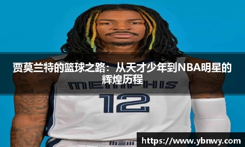 龙8官网