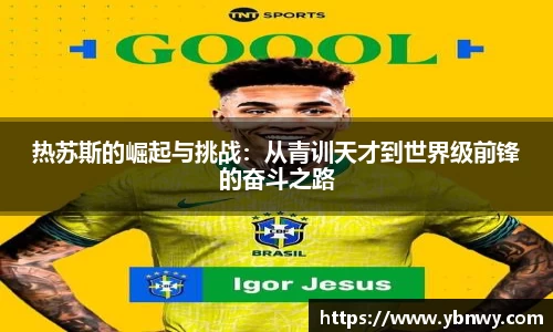 龙8平台