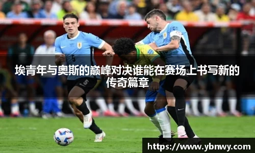 龙8官网